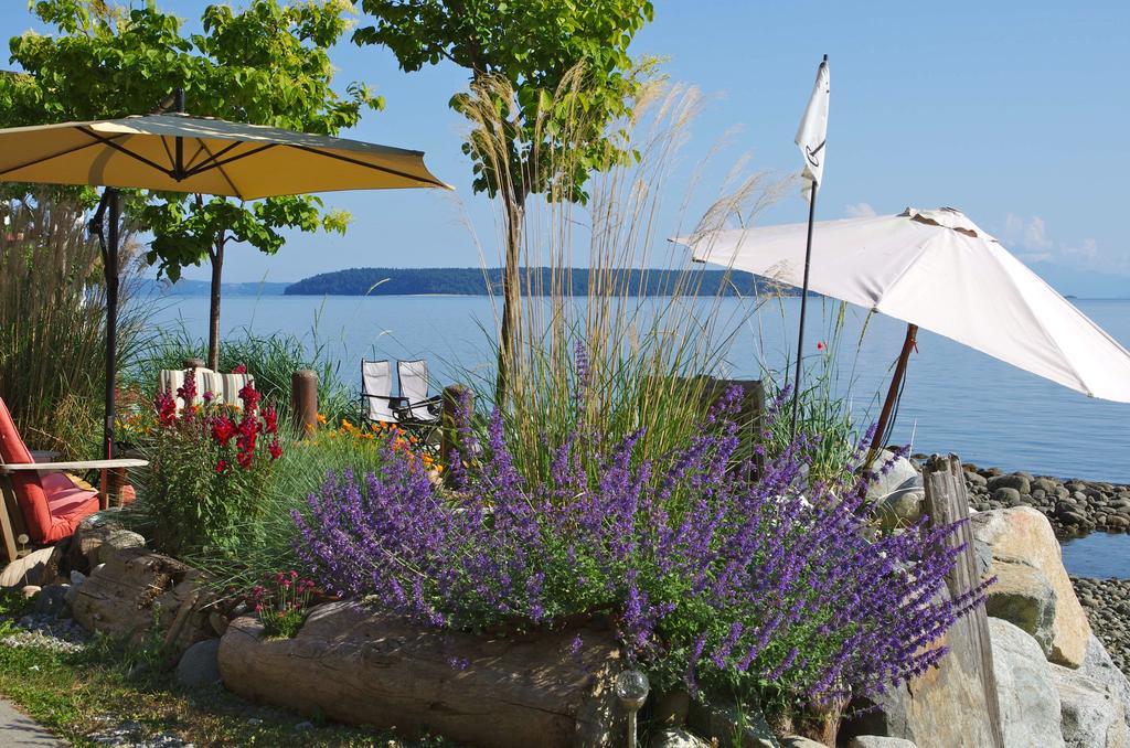 Blitz Beach House Oceanside Suite Powell River Exterior foto